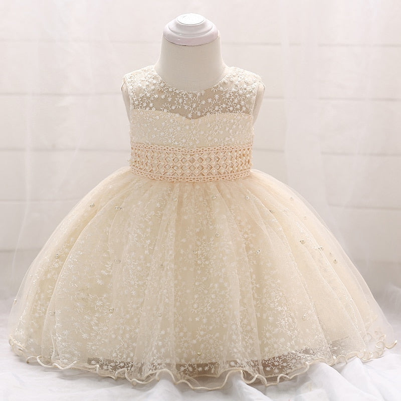 Delicate Party Dress