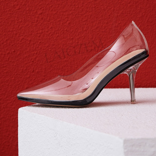 Elegant Transparent Pumps